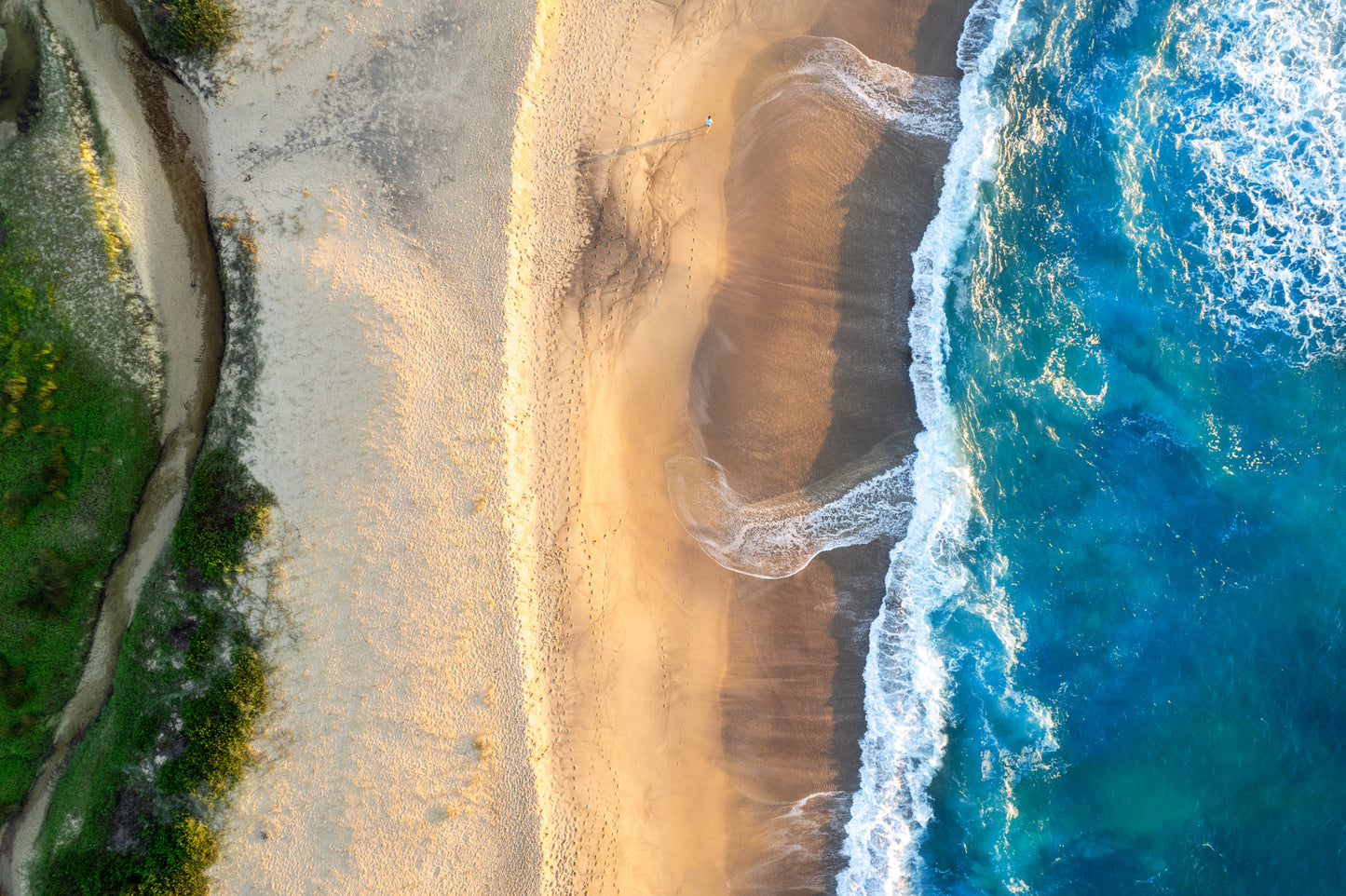 0013 Dudley Birdseye