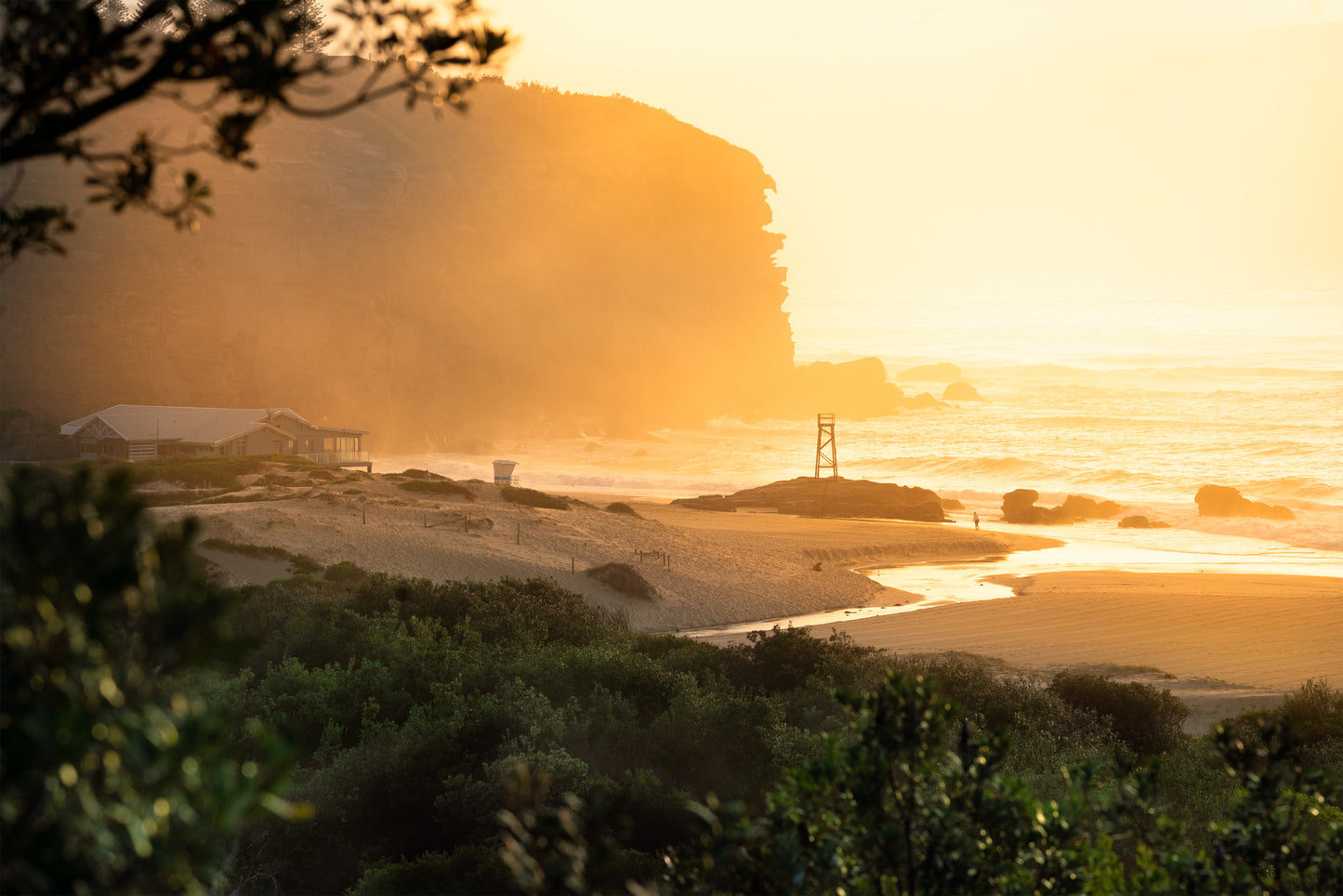 0038 Redhead Sea Spray