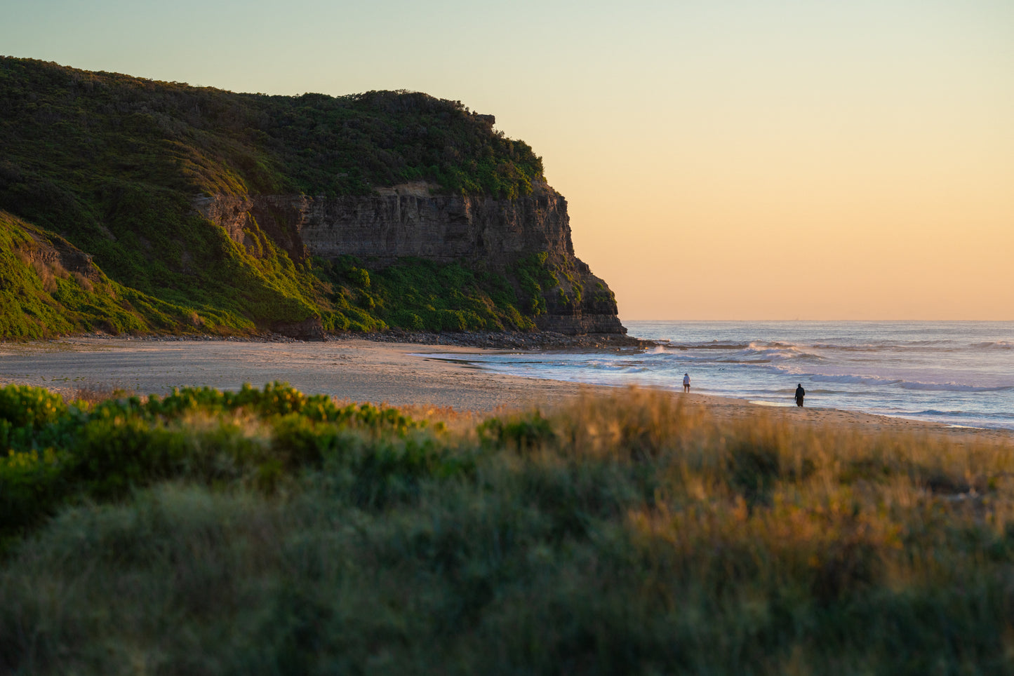 0080 Morning Strolls