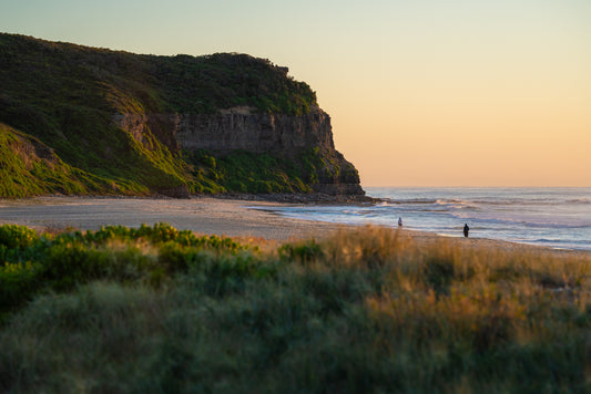 0080 Morning Strolls